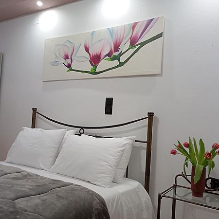 Vaso'S Appartments A Μεσολόγγι Εξωτερικό φωτογραφία